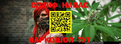 стафф Донской