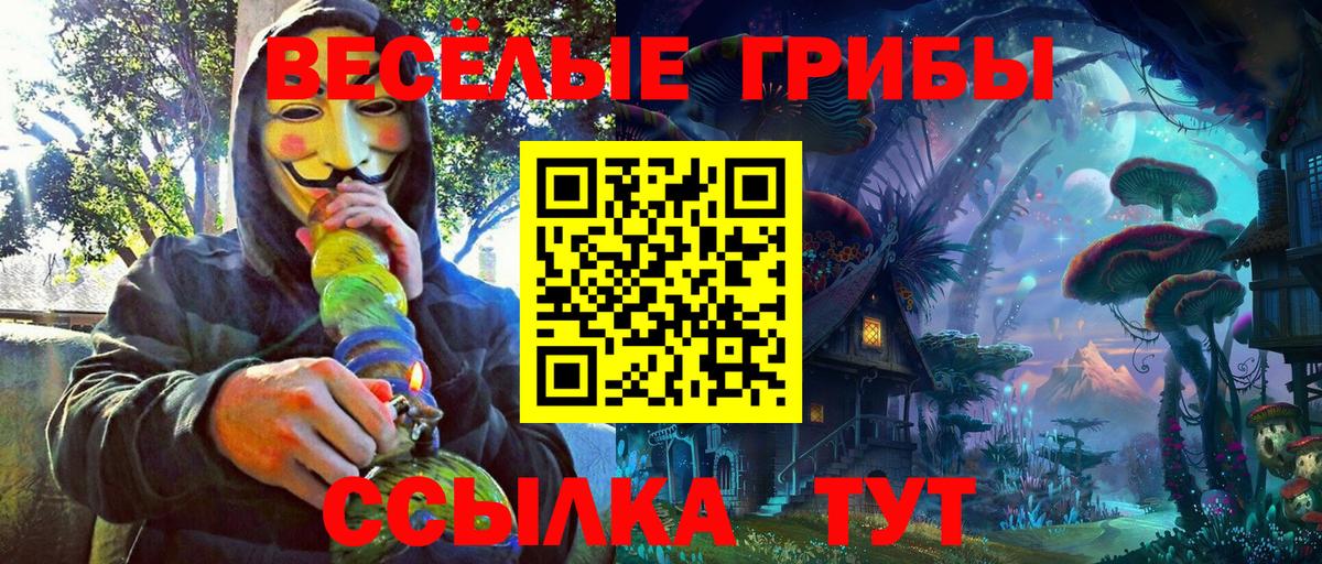 Псилоцибиновые грибы GOLDEN TEACHER Миасс