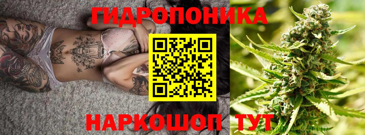 Каннабис планчик Миасс